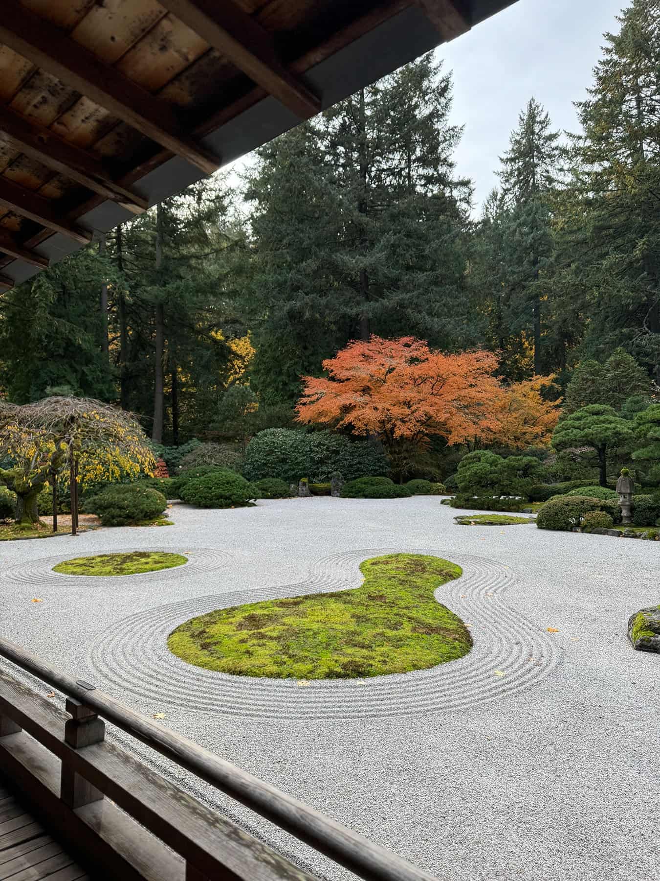 Purpose Over Pressure: A More Intentional Way to Set Goals for the Year Ahead